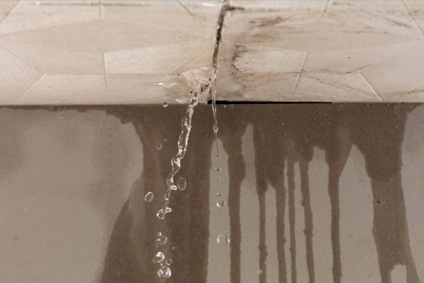 Professional Sewage Cleanup technician working in Wahkiacus, WA